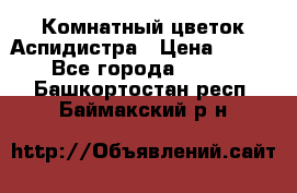 Комнатный цветок Аспидистра › Цена ­ 150 - Все города  »    . Башкортостан респ.,Баймакский р-н